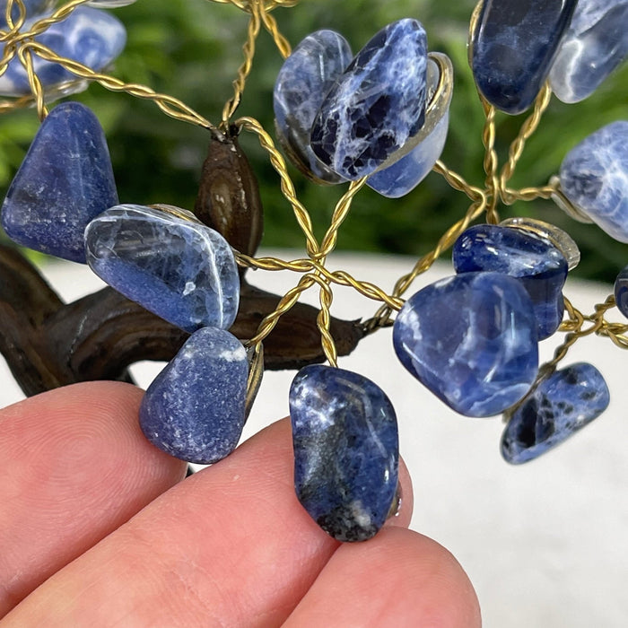 Sodalite 5" Tall Handmade Gemstone Tree on a Crystal base, 35 Gems #5401SODA - Brazil GemsBrazil GemsSodalite 5" Tall Handmade Gemstone Tree on a Crystal base, 35 Gems #5401SODAGemstone Trees5401SODA