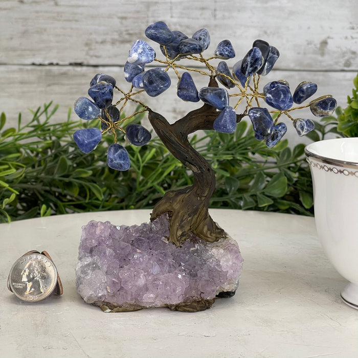 Sodalite 5" Tall Handmade Gemstone Tree on a Crystal base, 35 Gems #5401SODA - Brazil GemsBrazil GemsSodalite 5" Tall Handmade Gemstone Tree on a Crystal base, 35 Gems #5401SODAGemstone Trees5401SODA