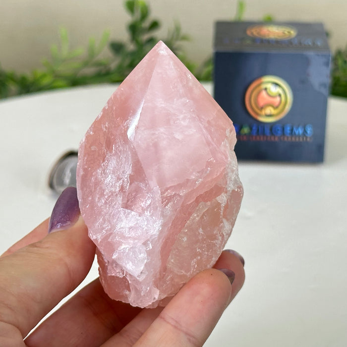 Extra Quality Rose Quartz Crystal Foot & Point #3102RQ-055