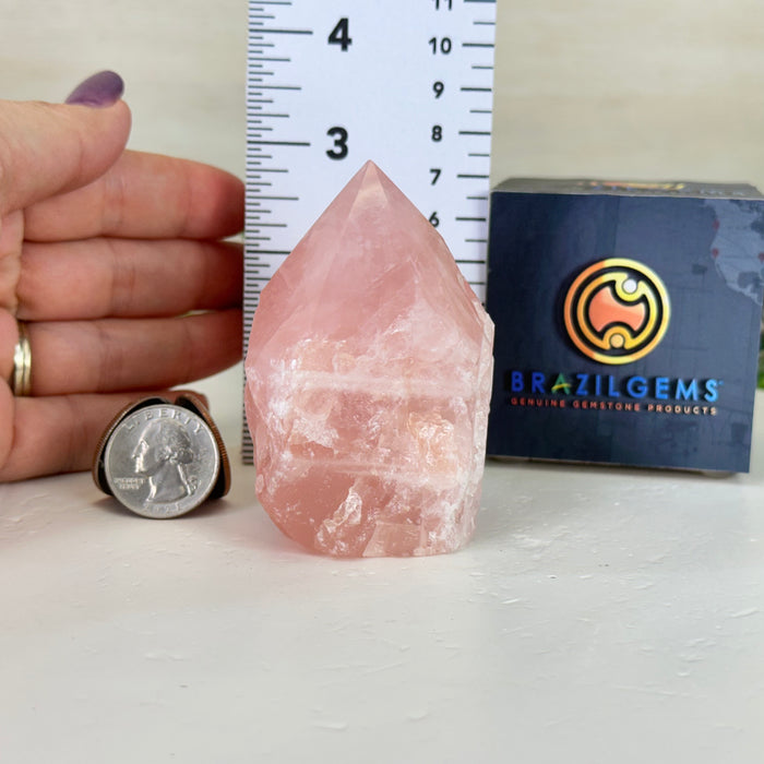 Extra Quality Rose Quartz Crystal Foot & Point #3102RQ-055