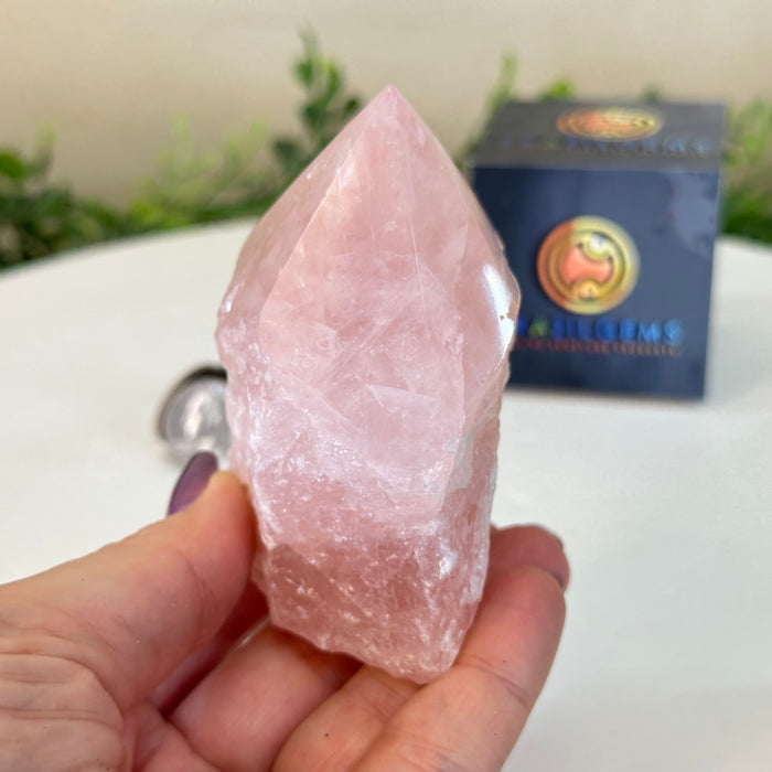 Extra Quality Rose Quartz Crystal Foot & Point #3102RQ-062
