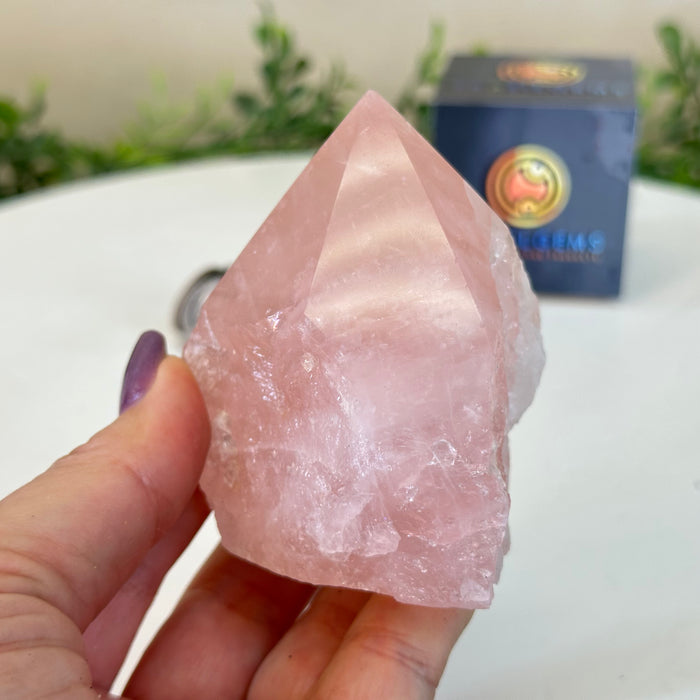 Extra Quality Rose Quartz Crystal Foot & Point #3102RQ-065