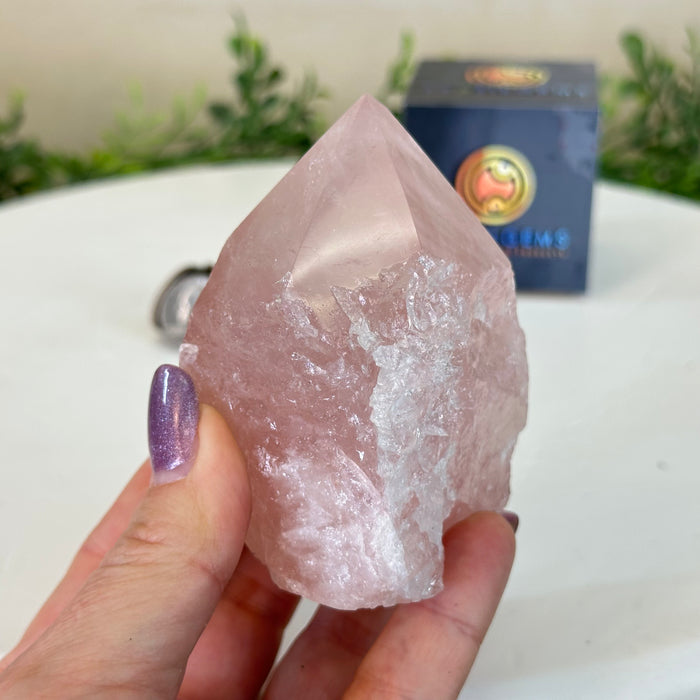 Extra Quality Rose Quartz Crystal Foot & Point #3102RQ-066