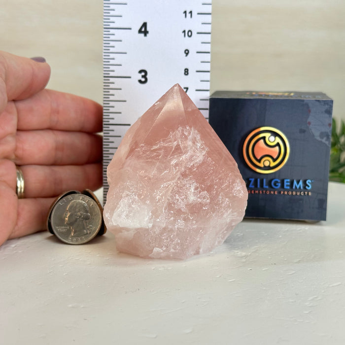 Extra Quality Rose Quartz Crystal Foot & Point #3102RQ-065