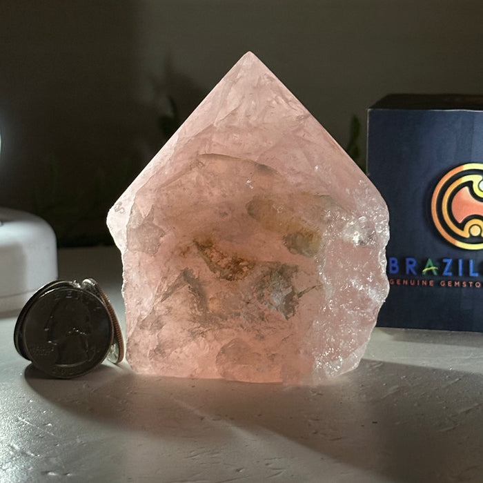 Extra Quality Rose Quartz Crystal Foot & Point #3102RQ-062