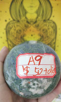 A9-20220312-JOJO