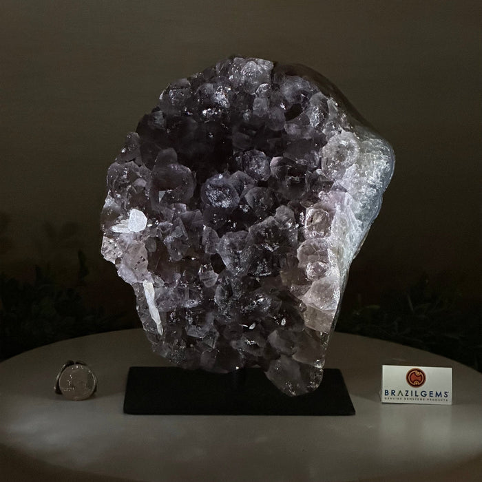 Amethyst Cluster on a Metal Base, 11.6 lbs & 8.8" Tall #5491D - 0234 - Brazil GemsBrazil GemsAmethyst Cluster on a Metal Base, 11.6 lbs & 8.8" Tall #5491D - 0234Clusters on Fixed Bases5491D - 0234