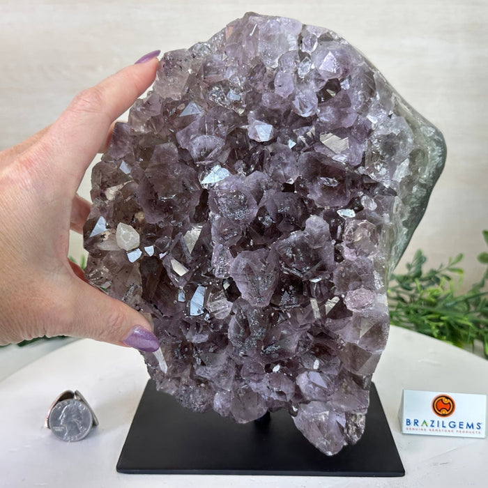 Amethyst Cluster on a Metal Base, 11.6 lbs & 8.8" Tall #5491D - 0234 - Brazil GemsBrazil GemsAmethyst Cluster on a Metal Base, 11.6 lbs & 8.8" Tall #5491D - 0234Clusters on Fixed Bases5491D - 0234