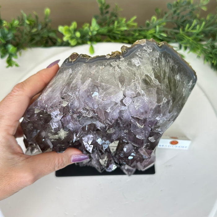 Amethyst Cluster on a Metal Base, 11.6 lbs & 8.8" Tall #5491D - 0234 - Brazil GemsBrazil GemsAmethyst Cluster on a Metal Base, 11.6 lbs & 8.8" Tall #5491D - 0234Clusters on Fixed Bases5491D - 0234