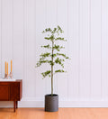 Artificial Shady Lady Tree