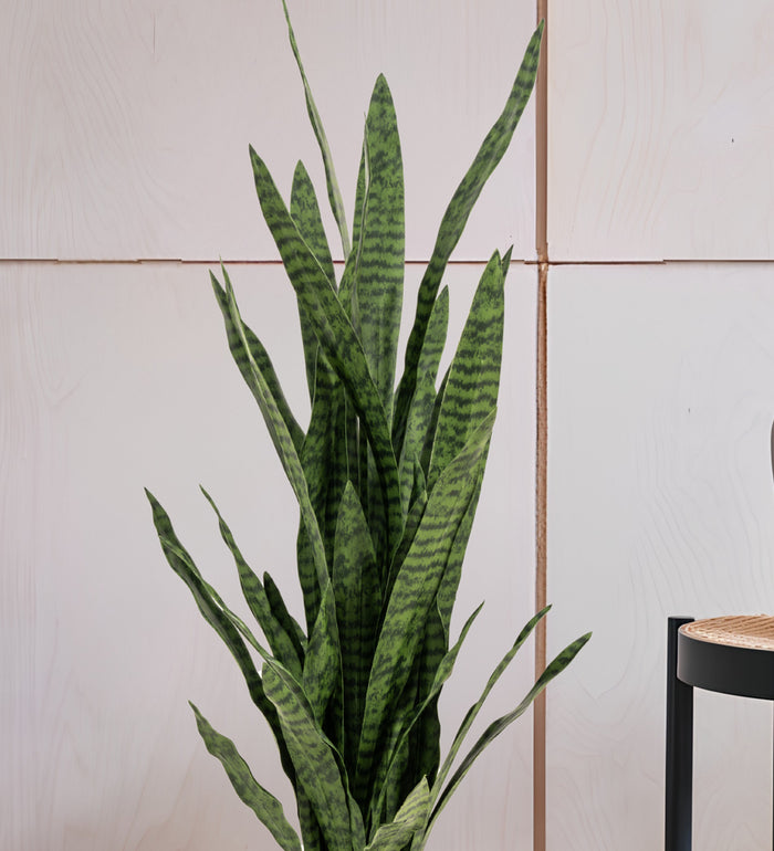 Artificial Snake Plant