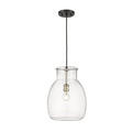 Bella Matte Black Brushed Nickel 1 Light Pendant - Pendants