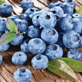 The Blueberry - Blue Crop - 2 Gallon from Pickup & Local Delivery Only sits fresh with green leaves on a rustic wooden surface, ideal for a fruitful home orchard blueberry harvest.
