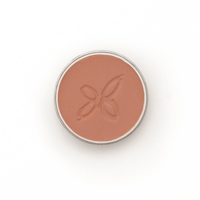 BLUSH BIO - 01 BOIS DE ROSE