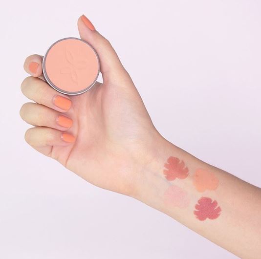BLUSH BIO - 06 LIE DE VIN