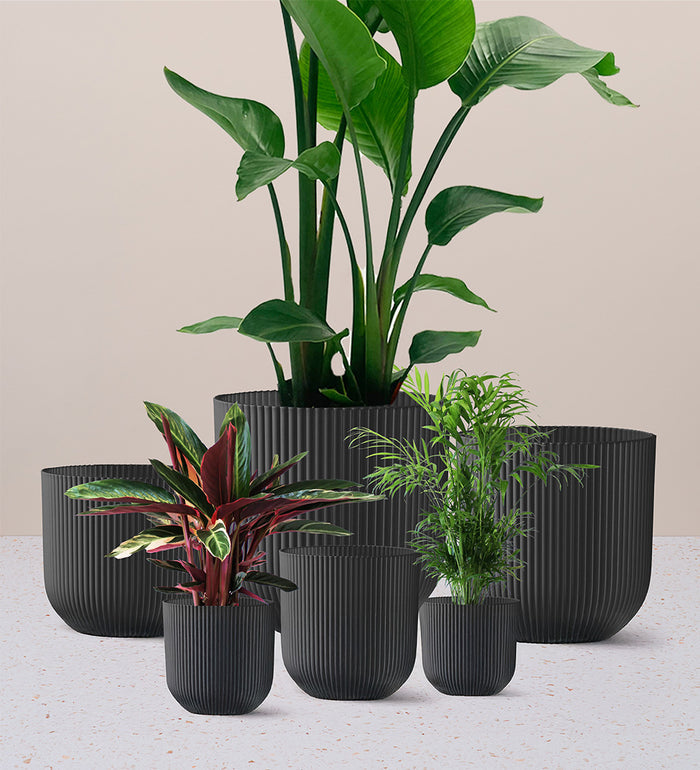 Dark Grey Elho Vibes Pot (30cm)