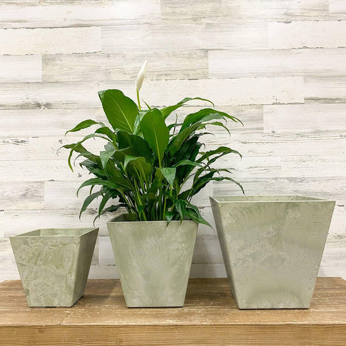 Ella Square Pot - Mint - 10-inches - Hicks Nurseries