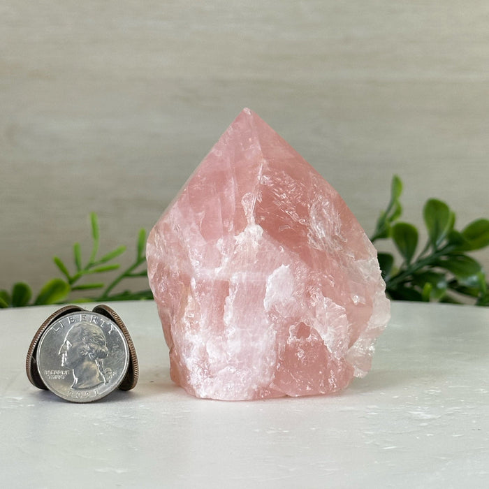 Extra Quality Rose Quartz Crystal Foot & Point #3102RQ - 055 - Brazil GemsBrazil GemsExtra Quality Rose Quartz Crystal Foot & Point #3102RQ - 055Crystal Points3102RQ - 055