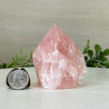 Extra Quality Rose Quartz Crystal Foot & Point #3102RQ - 055 - Brazil GemsBrazil GemsExtra Quality Rose Quartz Crystal Foot & Point #3102RQ - 055Crystal Points3102RQ - 055