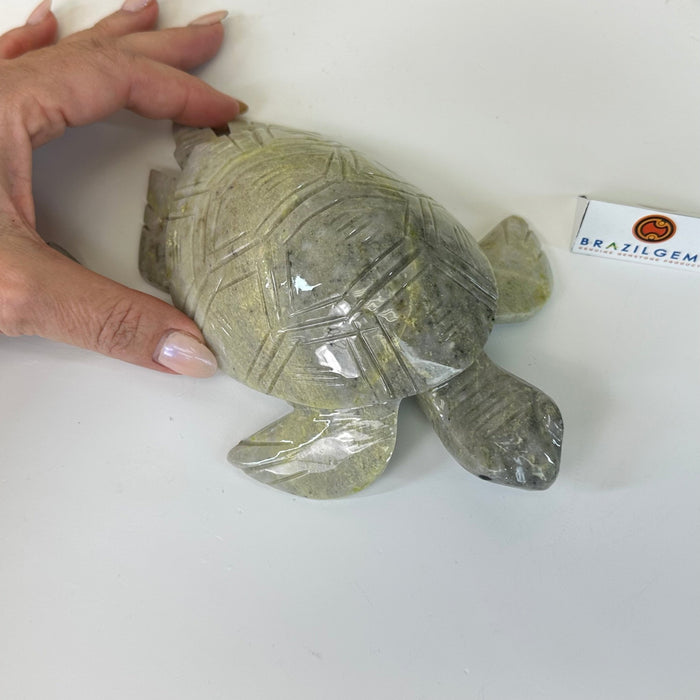 Handcrafted Serpentine Turtle Carving, 2 lbs and 2.1" Tall #3901SE - 001 - Brazil GemsBrazil GemsHandcrafted Serpentine Turtle Carving, 2 lbs and 2.1" Tall #3901SE - 0013901SE - 001