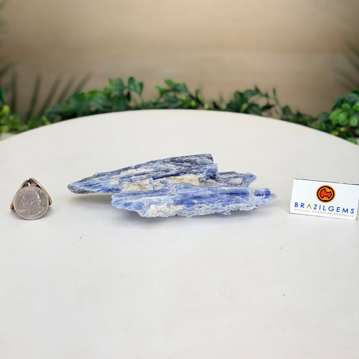 Kyanite Cluster, 0.7 lbs & 6.1 in Long #6009-0012