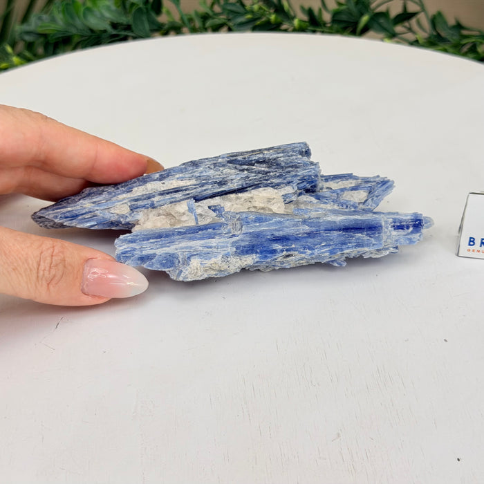 Kyanite Cluster, 0.7 lbs & 6.1 in Long #6009-0012