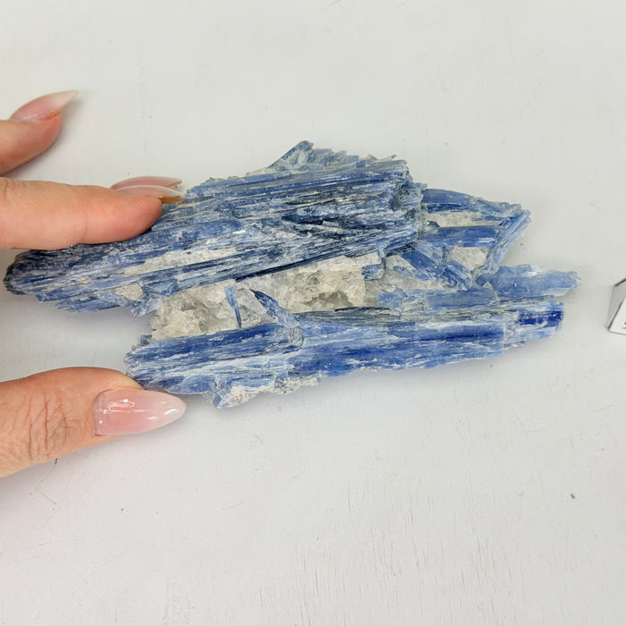 Kyanite Cluster, 0.7 lbs & 6.1 in Long #6009-0012
