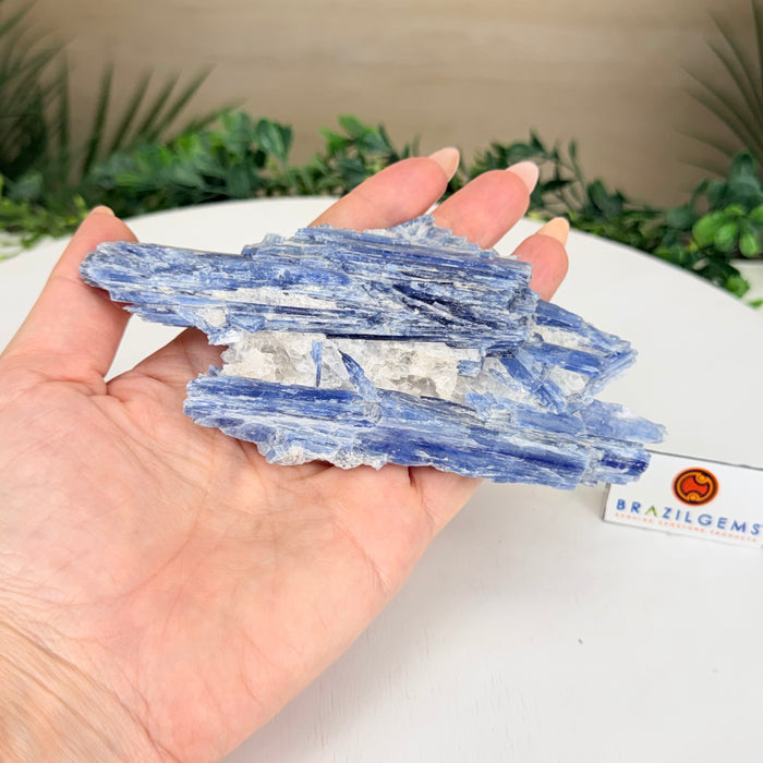 Kyanite Cluster, 0.7 lbs & 6.1 in Long #6009-0012
