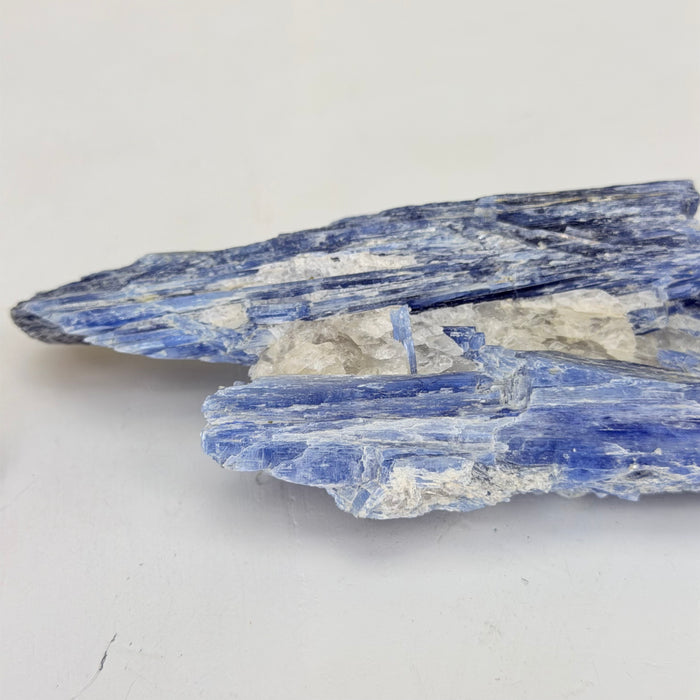 Kyanite Cluster, 0.7 lbs & 6.1 in Long #6009-0012