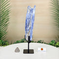 Kyanite Cluster on Stand, 1.1 lbs & 10.5 in Tall #6010-0038