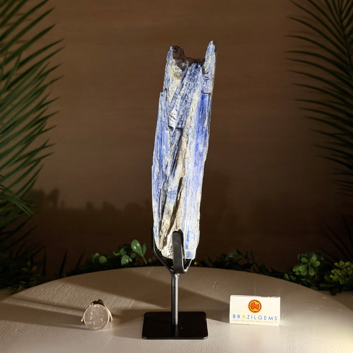 Kyanite Cluster on Stand, 1.1 lbs & 10.5 in Tall #6010-0038