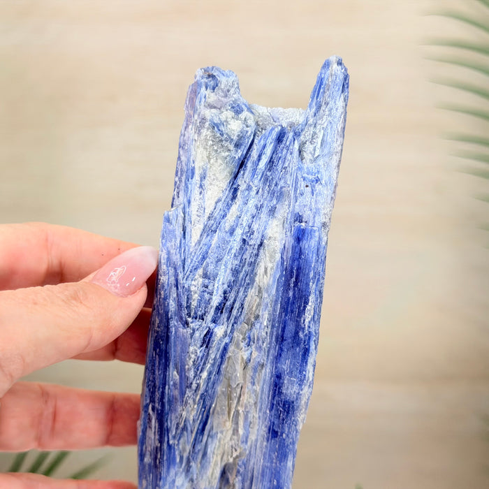 Kyanite Cluster on Stand, 1.1 lbs & 10.5 in Tall #6010-0038
