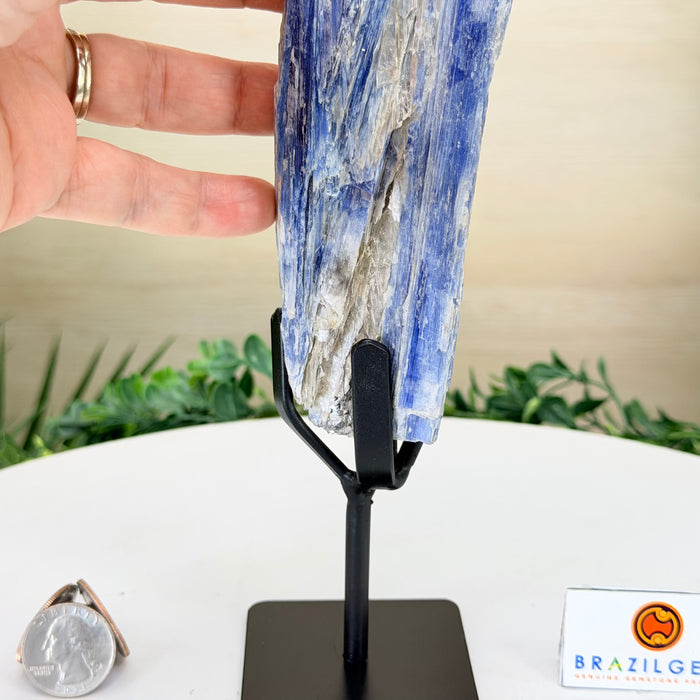 Kyanite Cluster on Stand, 1.1 lbs & 10.5 in Tall #6010-0038
