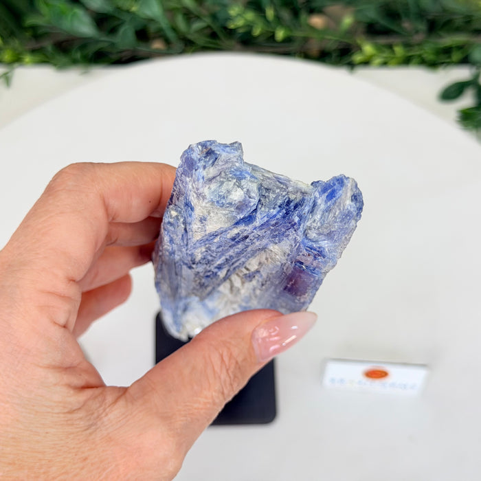 Kyanite Cluster on Stand, 1.1 lbs & 10.5 in Tall #6010-0038