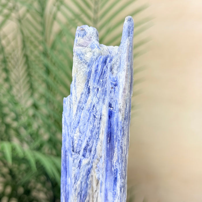 Kyanite Cluster on Stand, 1.1 lbs & 10.5 in Tall #6010-0038