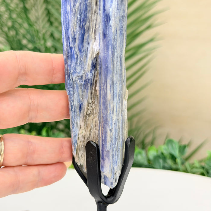 Kyanite Cluster on Stand, 1.1 lbs & 10.5 in Tall #6010-0038