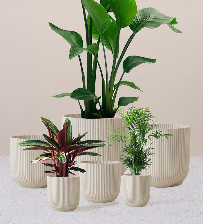 Linen White Elho Vibes Pot (16cm)