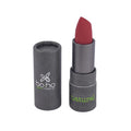 LIPSTICK BIO - Glossy 312 DESIRE