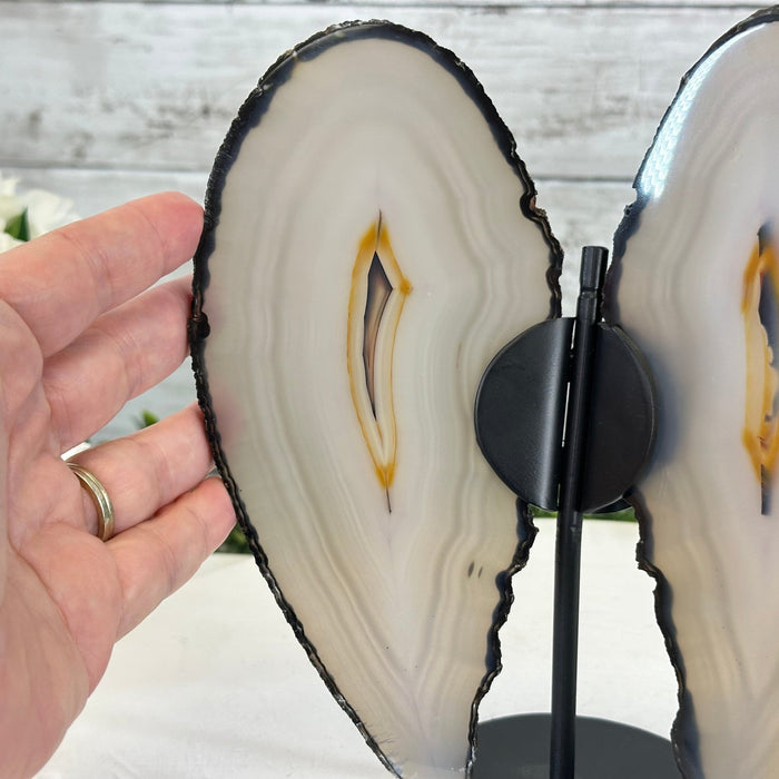 Natural Brazilian Agate "Butterfly Wings", 8.4" Tall #5050NA-143 - Brazil GemsBrazil GemsNatural Brazilian Agate "Butterfly Wings", 8.4" Tall #5050NA-143Agate Butterfly Wings5050NA-143