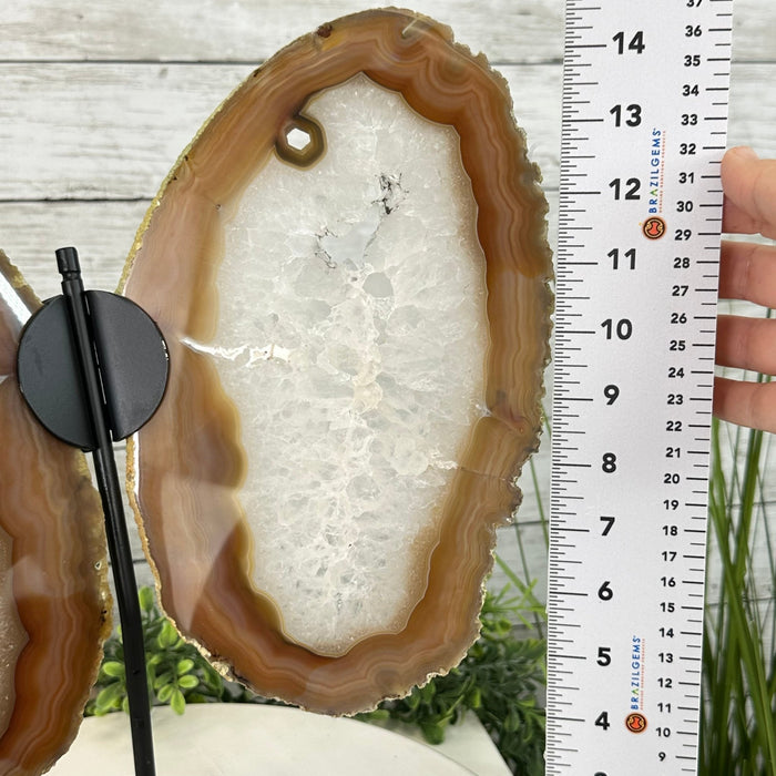 Natural Brazilian Agate "Butterfly Wings", Metal Stand, 14.5" Tall Model #5050NA-096 by Brazil Gems - Brazil GemsBrazil GemsNatural Brazilian Agate "Butterfly Wings", Metal Stand, 14.5" Tall Model #5050NA-096 by Brazil GemsAgate Butterfly Wings5050NA-096