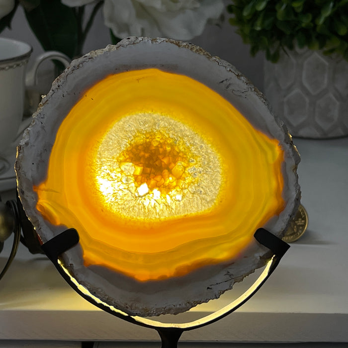 Natural Brazilian Agate Slice on a Metal Stand, 6.5" Tall #5067NA-004