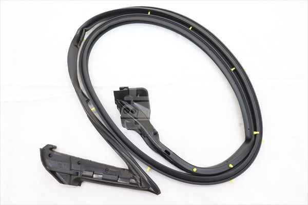 NISSAN Door Weatherstrip RH - Skyline R34 2Dr BNR34 #663101054 NISSAN