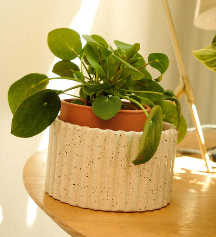 Pepin White Self-Watering Pot
