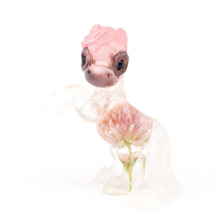 Pink Gomphrena GumiPoni