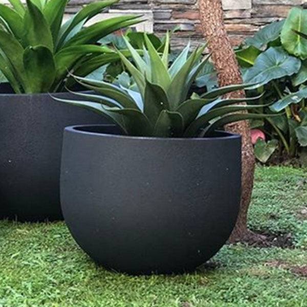 A lush green succulent grows in an 18-inch round Rustic Black Planter by All Delivery Options, set on grass with another matching pot, a stone wall, and leafy plants in the background.