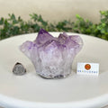 Polished Amethyst Flower 2.61 lbs & 3.6" Tall 5609 - 0041 - Brazil GemsBrazil GemsPolished Amethyst Flower 2.61 lbs & 3.6" Tall 5609 - 0041Crystal Flowers5609 - 0041