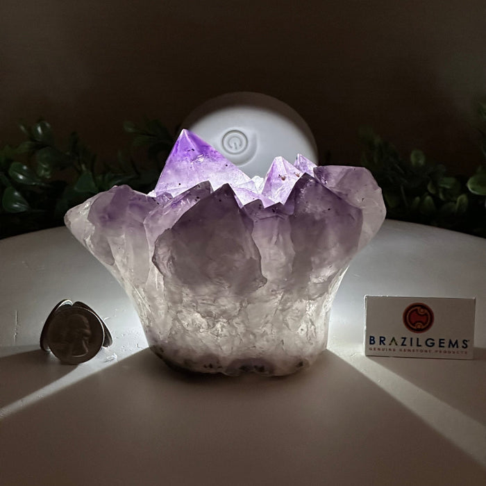 Polished Amethyst Flower 2.61 lbs & 3.6" Tall 5609 - 0041 - Brazil GemsBrazil GemsPolished Amethyst Flower 2.61 lbs & 3.6" Tall 5609 - 0041Crystal Flowers5609 - 0041