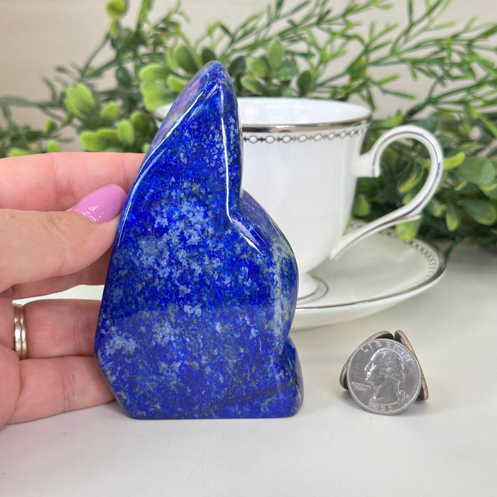 Polished Freeform Lapis Lazuli Palm Stone 3488LL - 019 - Brazil GemsBrazil GemsPolished Freeform Lapis Lazuli Palm Stone 3488LL - 019Freeform & Unique Shapes3488LL - 019