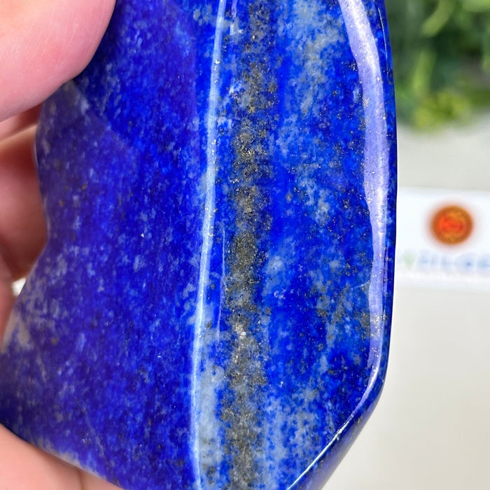 Polished Freeform Lapis Lazuli Palm Stone 3488LL - 019 - Brazil GemsBrazil GemsPolished Freeform Lapis Lazuli Palm Stone 3488LL - 019Freeform & Unique Shapes3488LL - 019
