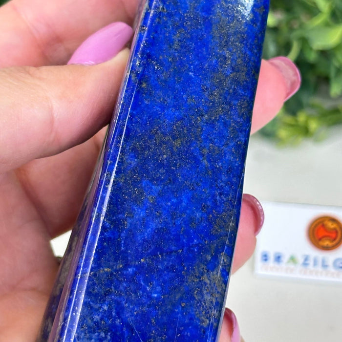 Polished Freeform Lapis Lazuli Palm Stone 3488LL - 031 - Brazil GemsBrazil GemsPolished Freeform Lapis Lazuli Palm Stone 3488LL - 031Freeform & Unique Shapes3488LL - 031